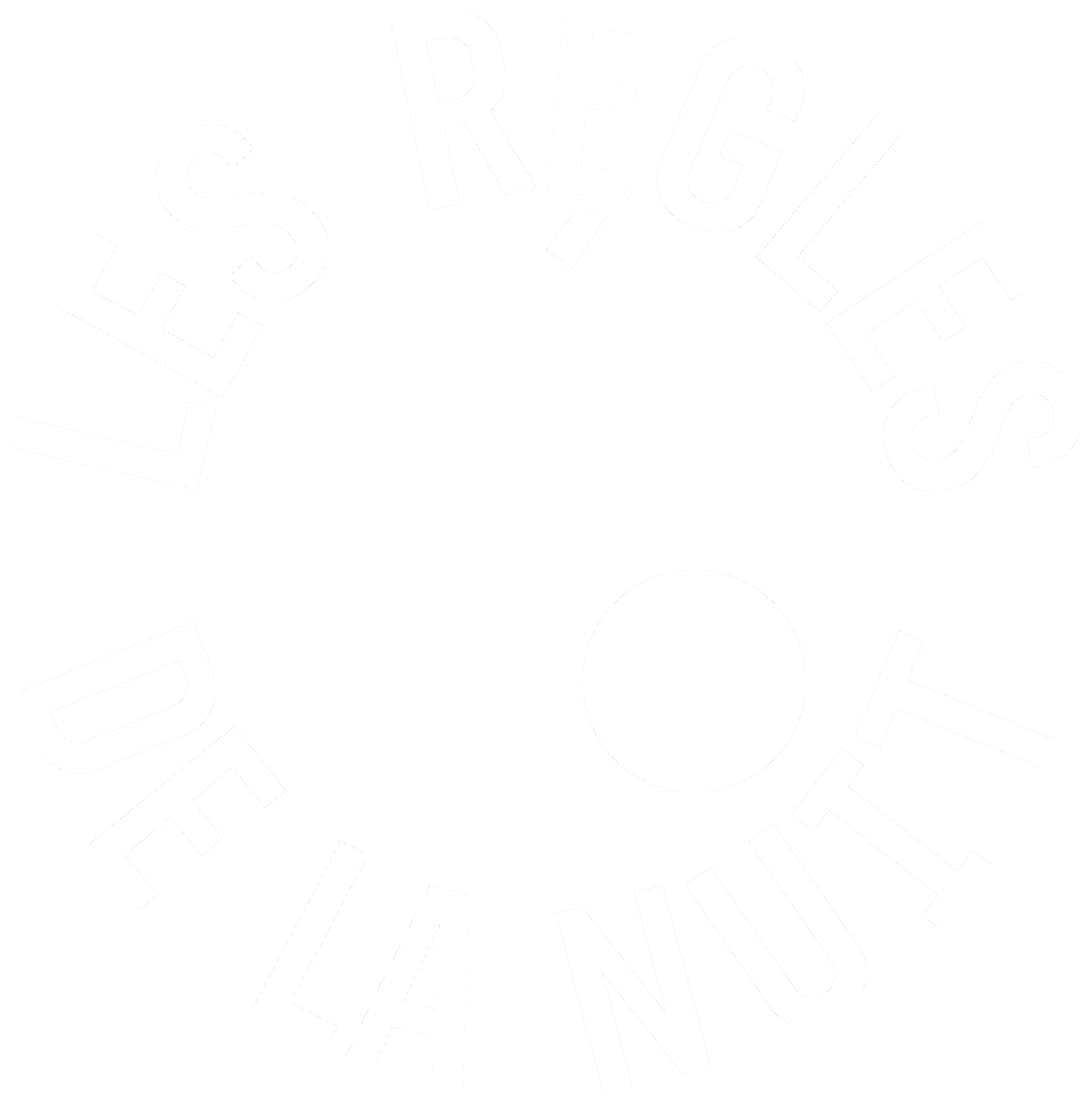 logo Les Règles de la Nuit